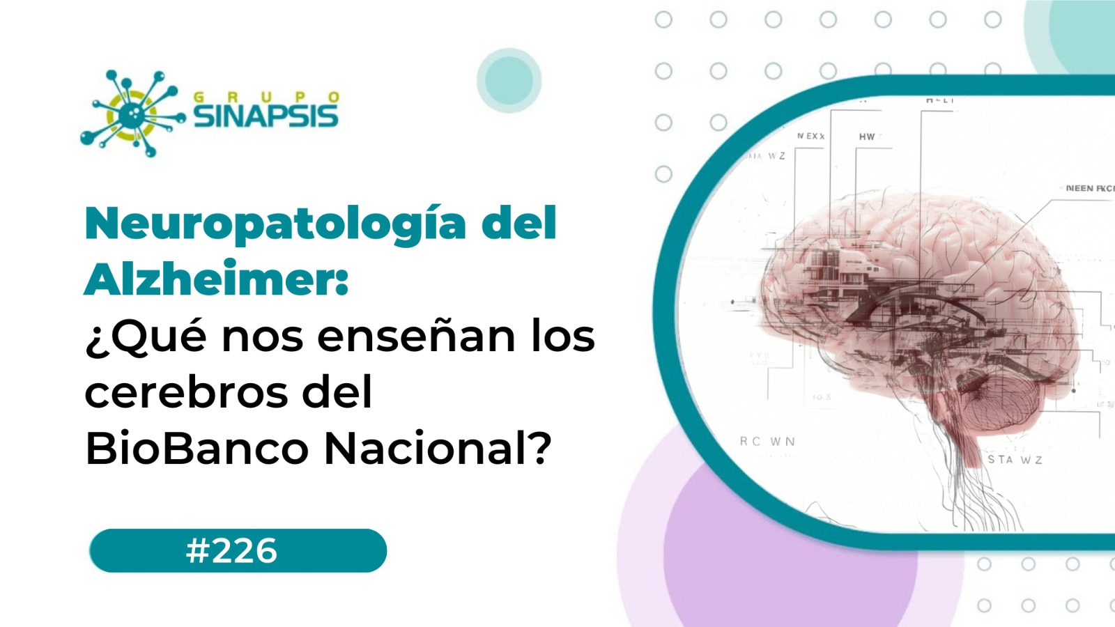 Neuropatología del Alzheimer: ¿Qué nos enseñan los cerebros del BioBanco Nacional?
